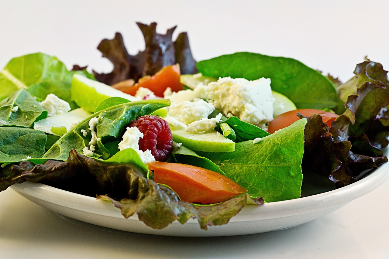 Dieta
