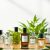 Perfumy wegańskie i cruelty-free: jak rozpoznać autentyczność i dokonać etycznego wyboru zapachu